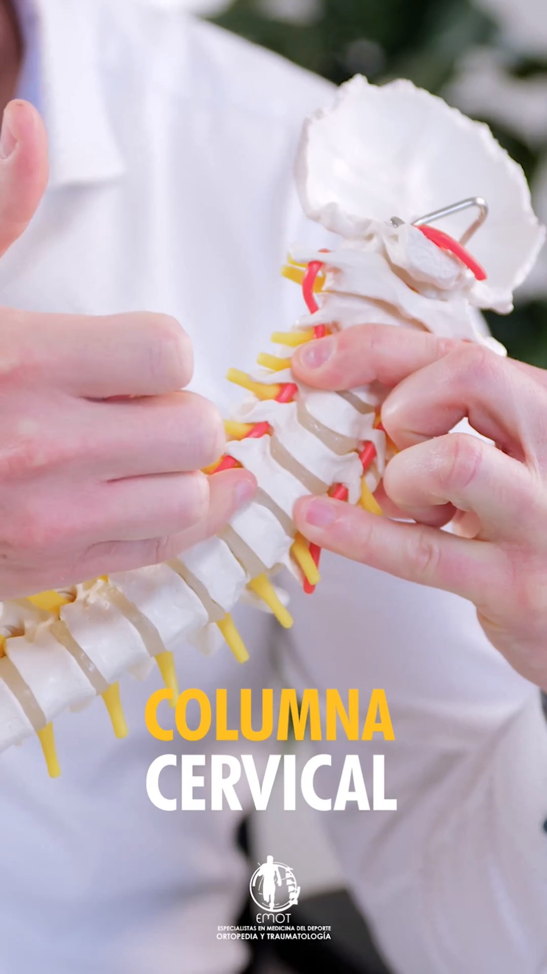 En qué consiste la cirugía de columna cervical