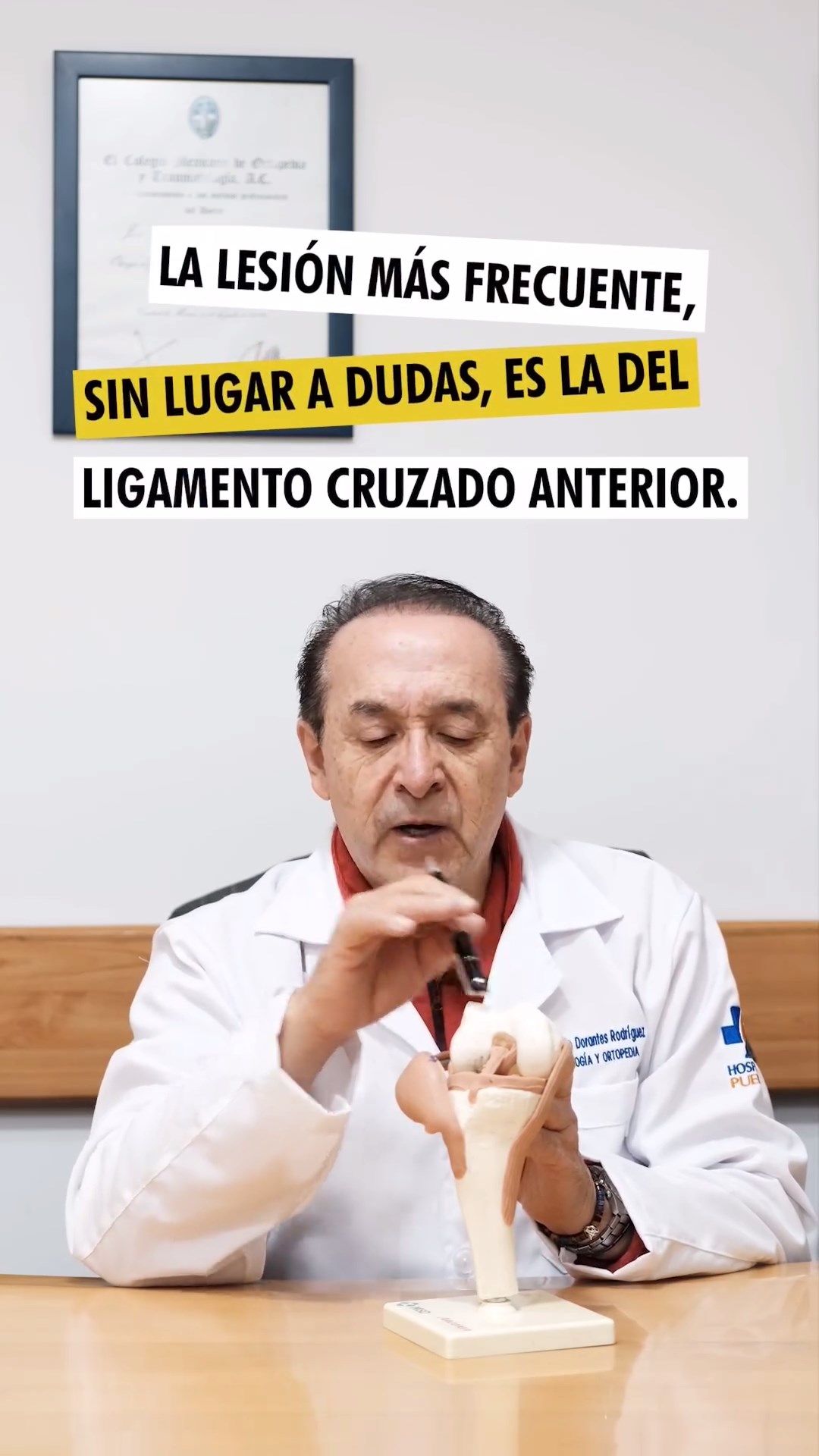 La lesión más frecuente: Ligamento cruzado anterior